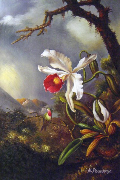 An Amethyst Hummingbird With A White Orchid. The painting by Martin Johnson Heade