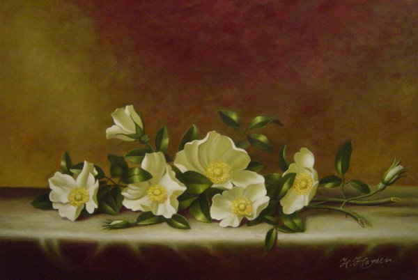 Cherokee Roses On A Light Gray Cloth. The painting by Martin Johnson Heade