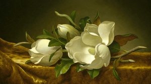 Magnolias on Gold Velvet Cloth, Martin Johnson Heade, Art Paintings