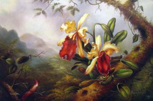 Orchids And Hummingbird, Martin Johnson Heade, Art Paintings