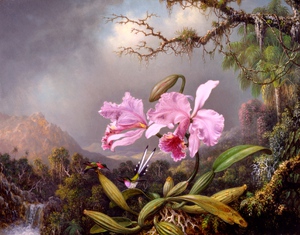 Study of an Orchid, Martin Johnson Heade, Art Paintings