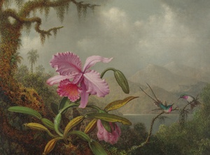 Reproduction oil paintings - Martin Johnson Heade - The Orchids and Hummingbirds