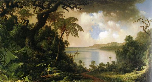 The View from Fern Tree Walk, Jamaica. The painting by Martin Johnson Heade