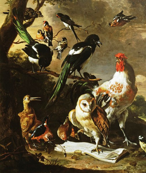 The Bird Concert. The painting by Melchior De Hondecoeter