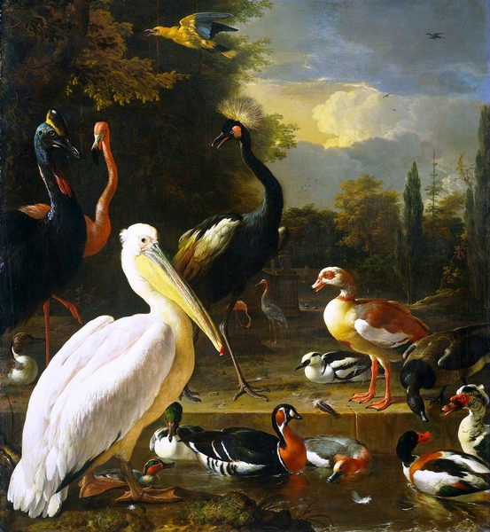 The Birds in a Park. The painting by Melchior De Hondecoeter