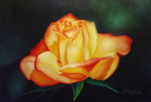Our Originals, Morning Rose, Painting on canvas