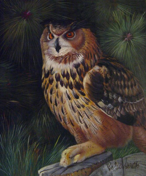 Oehoe, An Almost Extinct Owl. The painting by Our Originals