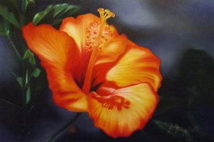 Our Originals, Orange Hibiscus, Painting on canvas