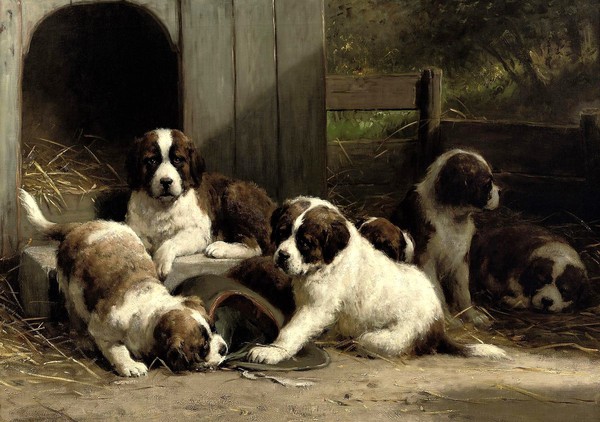 St. Bernard Puppies. The painting by Otto Eerelman
