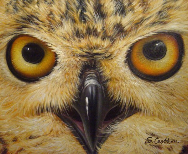 Owl Eyes. The painting by Our Originals