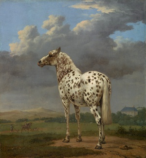 Paulus Potter, The Piebald Horse, Painting on canvas