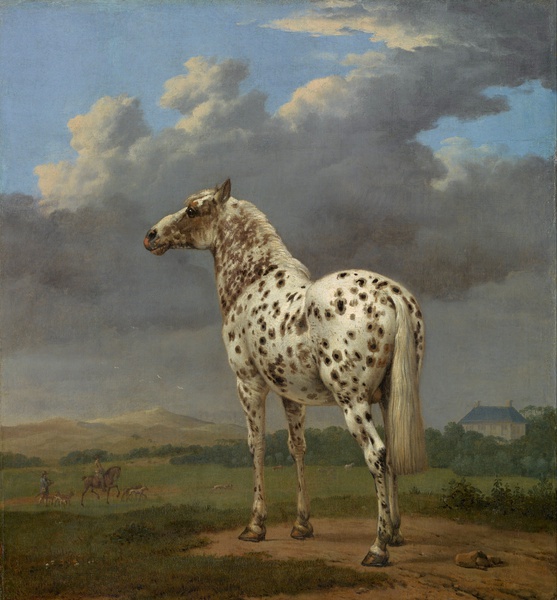The Piebald Horse. The painting by Paulus Potter