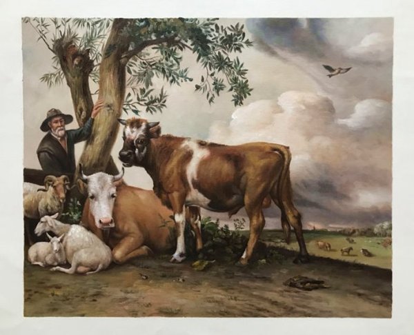 The Young Bull Oil Painting Reproduction
