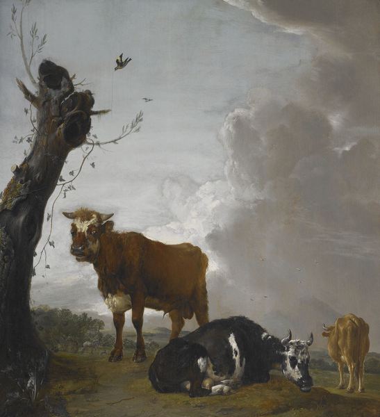 Young Bull and Two Cows in a Meadow. The painting by Paulus Potter