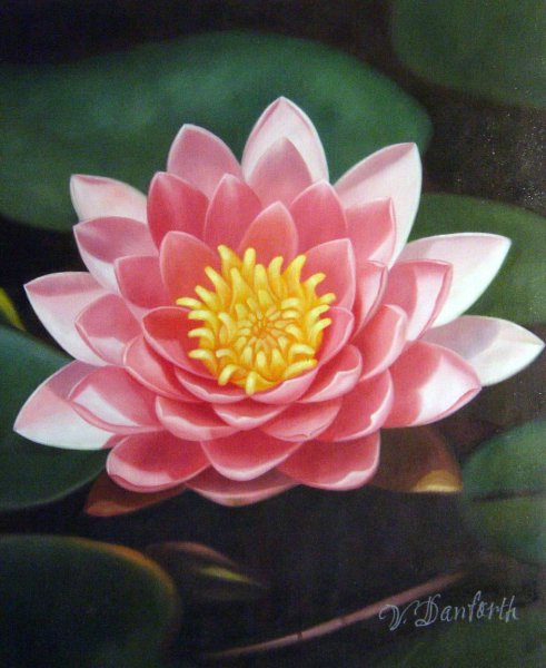 Pink Waterlily. The painting by Our Originals