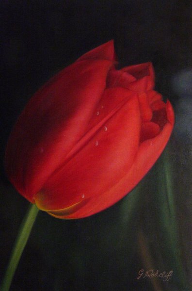 Portrait Of A Tulip. The painting by Our Originals