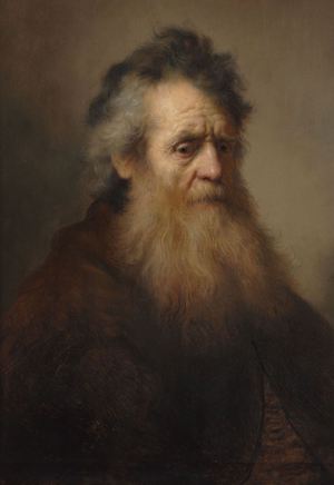 Portrait of an Old Man, Rembrandt van Rijn, Art Paintings