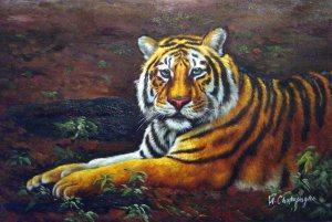 Siberian Tiger Resting, Our Originals, Art Paintings