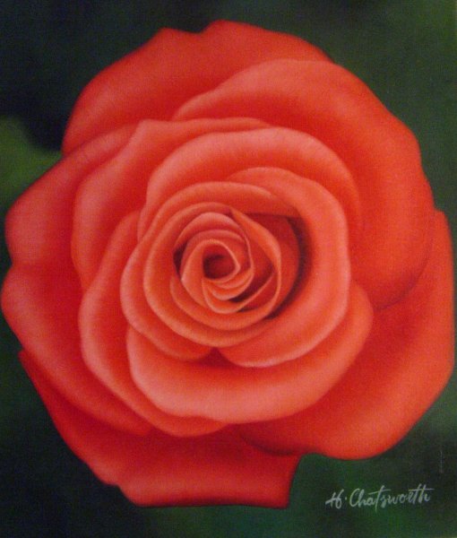 Stunning Red Rose. The painting by Our Originals