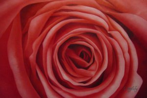 Our Originals, The Beautiful Red Rose, Painting on canvas