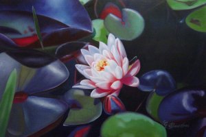 Our Originals, The Beautiful Waterlily, Painting on canvas