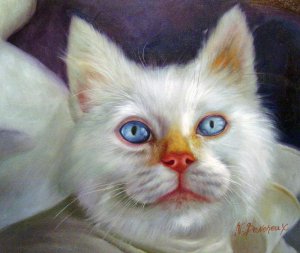 The Kitten With Beautiful Eyes, Our Originals, Art Paintings