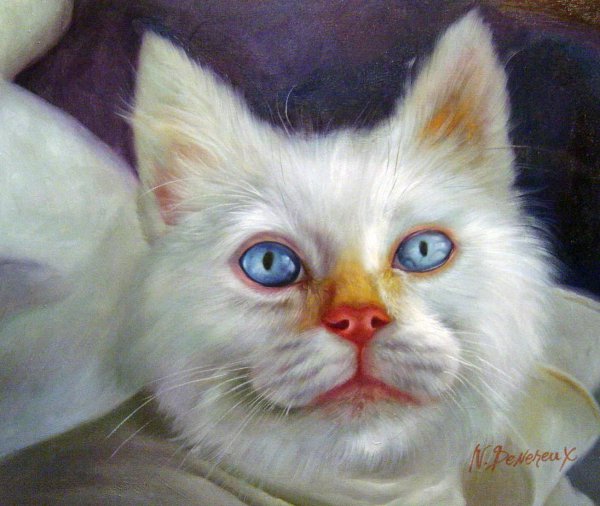The Kitten With Beautiful Eyes. The painting by Our Originals
