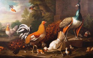 Reproduction oil paintings - Tobias Stranover - Peacock, a Gamecock, three Tufted Hens and other Birds in a Landscape