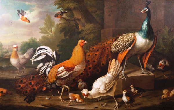 Peacock, a Gamecock, three Tufted Hens and other Birds in a Landscape. The painting by Tobias Stranover