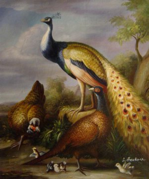Peacock, Hen And Cock Pheasant In A Landscape