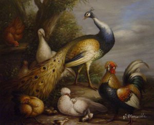 Tobias Stranover, Peacock, Hen And Poultry In A Landscape, Painting on canvas