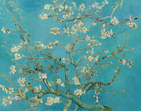 A Floral Still Life:  Branches with Almond Blossoms. The painting by Vincent Van Gogh