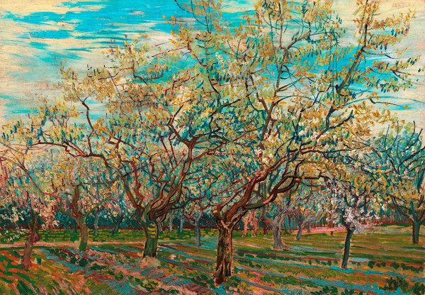 A White Orchard. The painting by Vincent Van Gogh