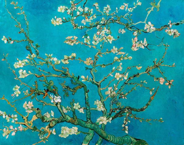 Almond Blossom. The painting by Vincent Van Gogh