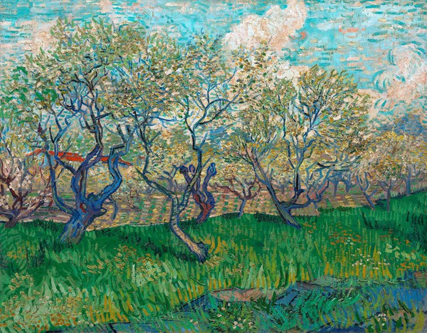 An Orchard in Blossom. The painting by Vincent Van Gogh
