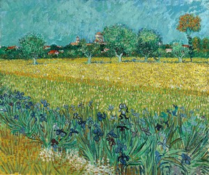 Vincent Van Gogh, Field with Irises near Arles , Painting on canvas