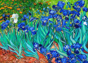 Vincent Van Gogh, Irises 2, Painting on canvas