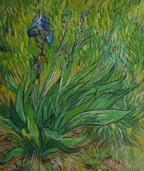 Irises. The painting by Vincent Van Gogh