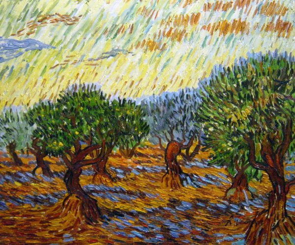 Olive Grove - Orange Sky. The painting by Vincent Van Gogh