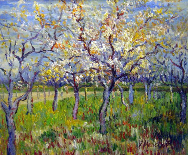 Orchard with Blossoming Apricot Trees. The painting by Vincent Van Gogh