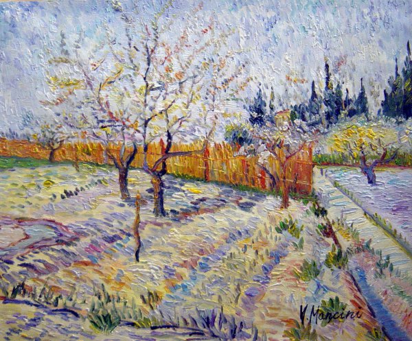 Orchard With Peach Trees In Blossom. The painting by Vincent Van Gogh