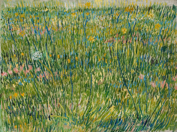 Patch of Grass 1. The painting by Vincent Van Gogh