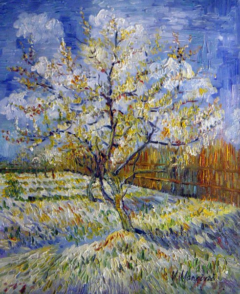 Peach Trees In Blossom. The painting by Vincent Van Gogh