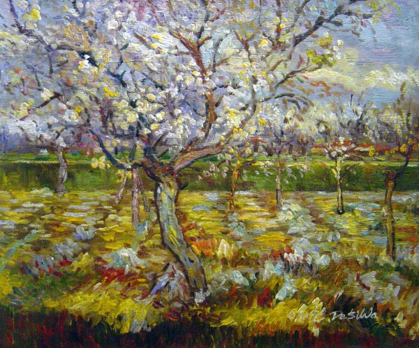 The Apricot Tree In Bloom. The painting by Vincent Van Gogh