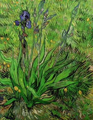 Vincent Van Gogh, The Iris, Painting on canvas
