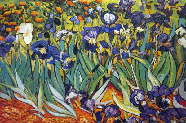 The Irises, Saint-Remy. The painting by Vincent Van Gogh