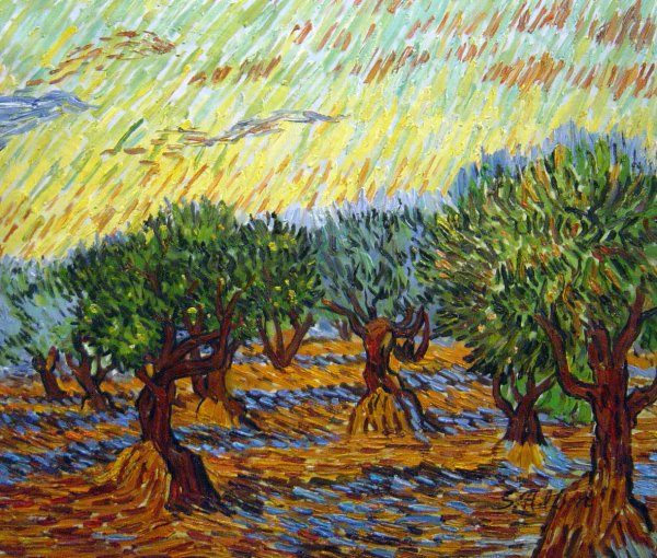 The Olive Grove, Orange Sky. The painting by Vincent Van Gogh