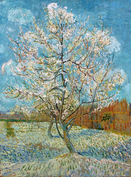 The Pink Peach Tree. The painting by Vincent Van Gogh