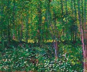 Reproduction oil paintings - Vincent Van Gogh - Trees and Undergrowth