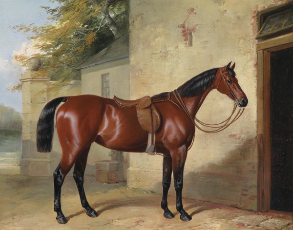 Saddled Boy. The painting by William Barraud